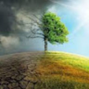 Meet your Posher, Shivani